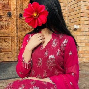 4 piece embroided chiffon (Copy)