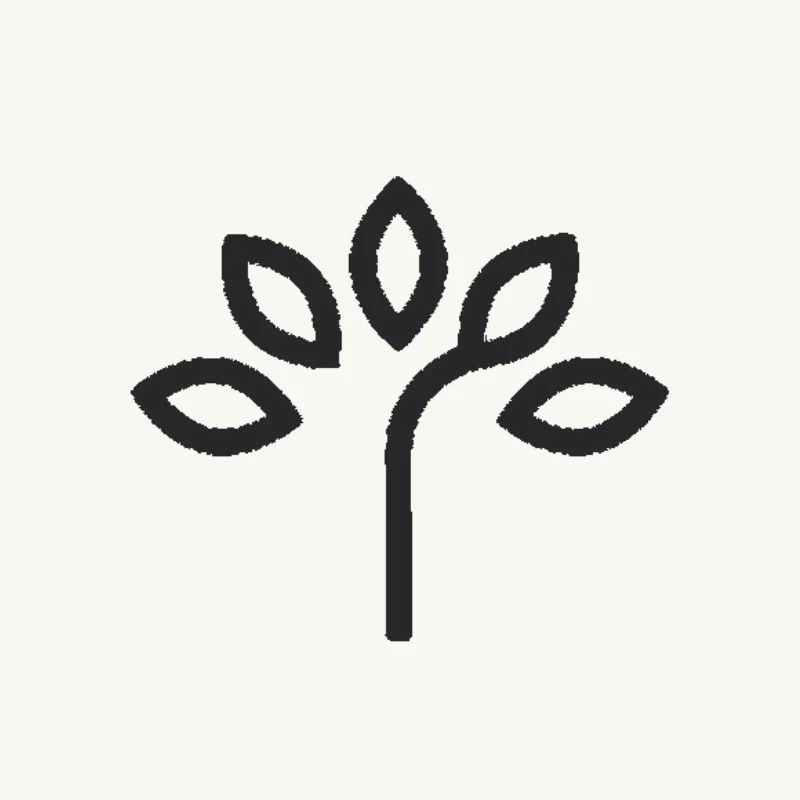 Noorzadia Logo