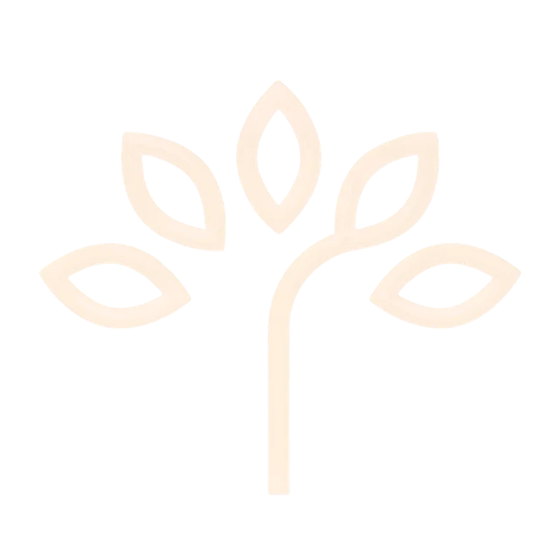 Noorzadia Logo